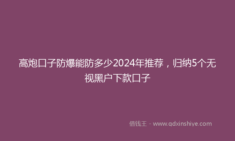 高炮口子防爆能防多少2024年推荐，归纳5个无视黑户下款口子