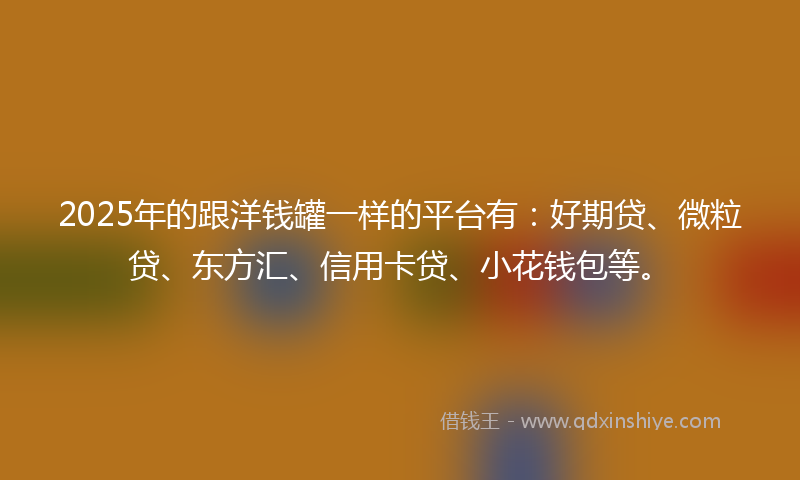 2025年的跟洋钱罐一样的平台有：好期贷、微粒贷、东方汇、信用卡贷、小花钱包等。