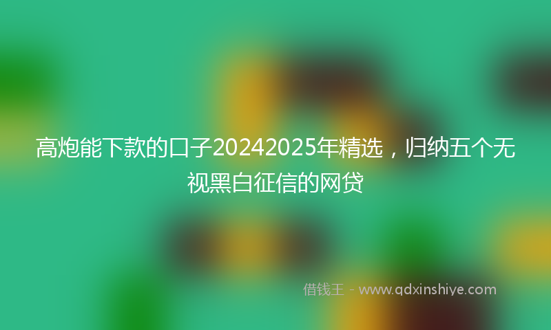 高炮能下款的口子20242025年精选，归纳五个无视黑白征信的网贷