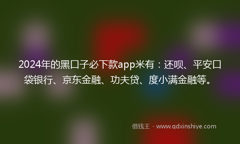 2024年的黑口子必下款app米有：还呗、平安口袋银行、京东金融、功夫贷、度小满金融等。