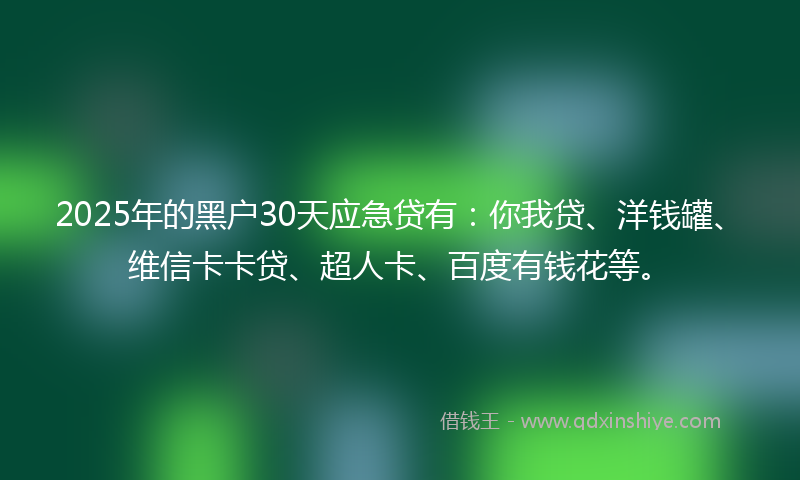 2025年的黑户30天应急贷有：你我贷、洋钱罐、维信卡卡贷、超人卡、百度有钱花等。