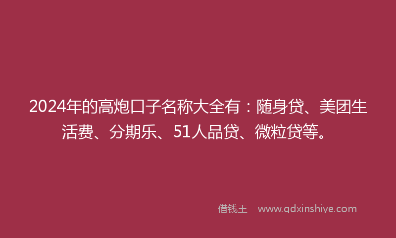 2024年的高炮口子名称大全有：随身贷、美团生活费、分期乐、51人品贷、微粒贷等。