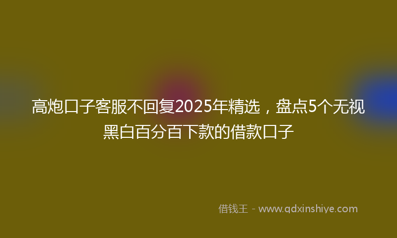 高炮口子客服不回复2025年精选，盘点5个无视黑白百分百下款的借款口子