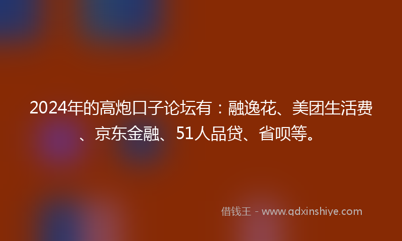 2024年的高炮口子论坛有：融逸花、美团生活费、京东金融、51人品贷、省呗等。