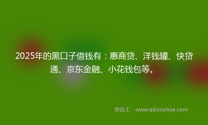 2025年的黑口子借钱有：惠商贷、洋钱罐、快贷通、京东金融、小花钱包等。