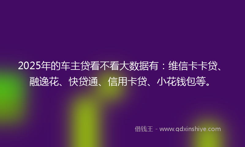 2025年的车主贷看不看大数据有：维信卡卡贷、融逸花、快贷通、信用卡贷、小花钱包等。