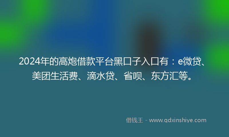 2024年的高炮借款平台黑口子入口有：e微贷、美团生活费、滴水贷、省呗、东方汇等。