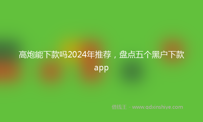 高炮能下款吗2024年推荐，盘点五个黑户下款app