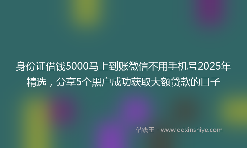 身份证借钱5000马上到账微信不用手机号2025年精选，分享5个黑户成功获取大额贷款的口子