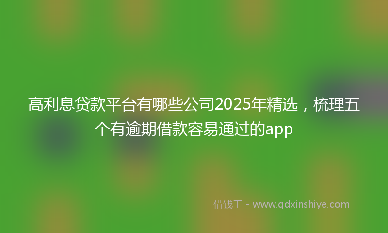 高利息贷款平台有哪些公司2025年精选，梳理五个有逾期借款容易通过的app