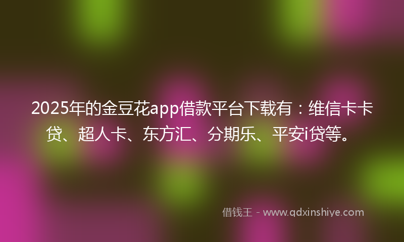 2025年的金豆花app借款平台下载有：维信卡卡贷、超人卡、东方汇、分期乐、平安i贷等。
