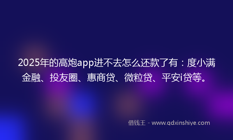 2025年的高炮app进不去怎么还款了有：度小满金融、投友圈、惠商贷、微粒贷、平安i贷等。