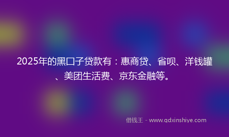 2025年的黑囗子贷款有：惠商贷、省呗、洋钱罐、美团生活费、京东金融等。