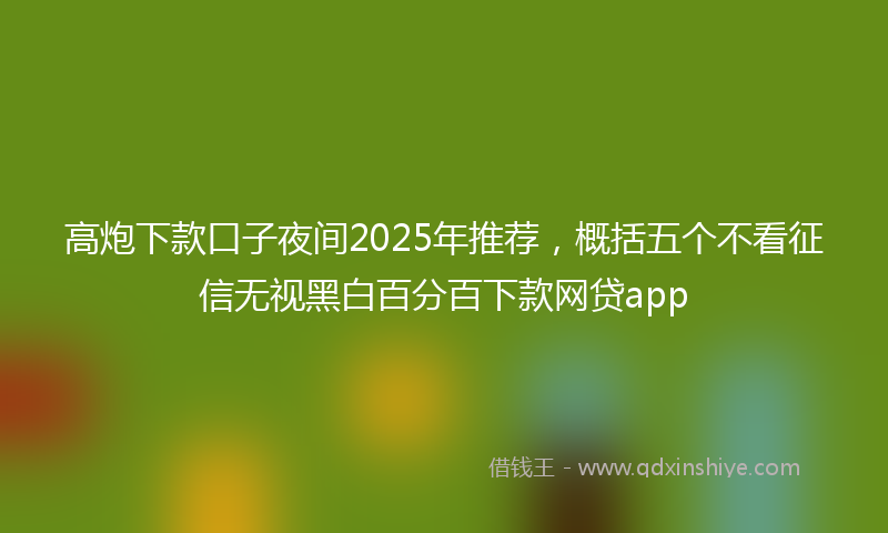 高炮下款口子夜间2025年推荐，概括五个不看征信无视黑白百分百下款网贷app