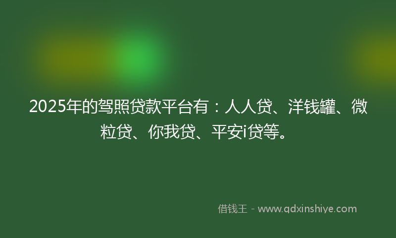 2025年的驾照贷款平台有：人人贷、洋钱罐、微粒贷、你我贷、平安i贷等。