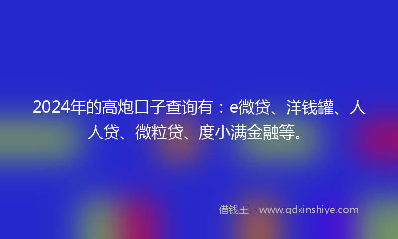 2024年的高炮口子查询有：e微贷、洋钱罐、人人贷、微粒贷、度小满金融等。
