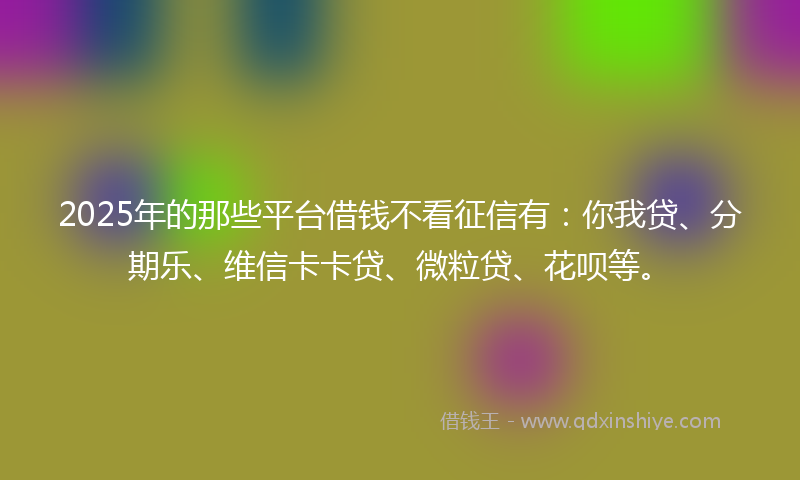 2025年的那些平台借钱不看征信有：你我贷、分期乐、维信卡卡贷、微粒贷、花呗等。
