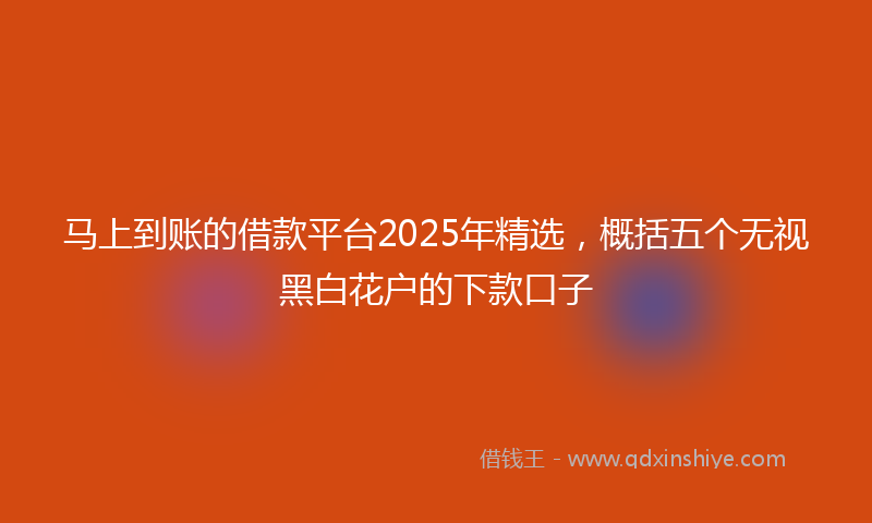 马上到账的借款平台2025年精选，概括五个无视黑白花户的下款口子