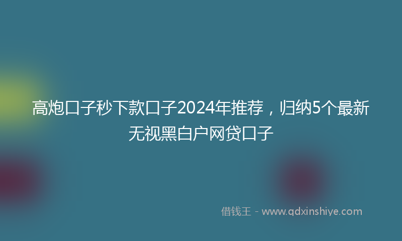 高炮口子秒下款口子2024年推荐，归纳5个最新无视黑白户网贷口子