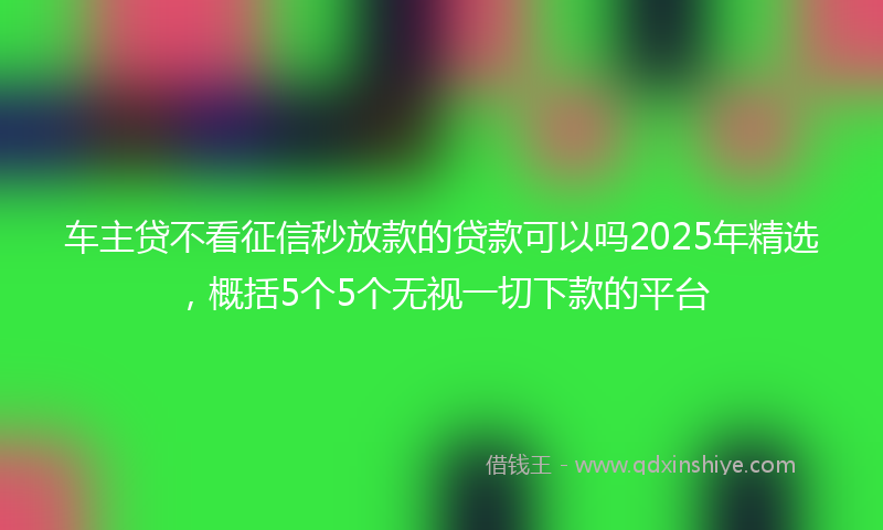 车主贷不看征信秒放款的贷款可以吗2025年精选，概括5个5个无视一切下款的平台