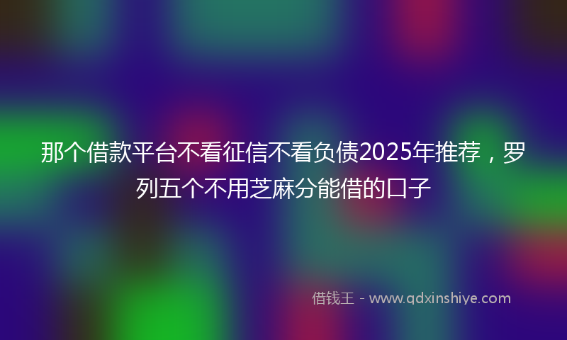 那个借款平台不看征信不看负债2025年推荐，罗列五个不用芝麻分能借的口子
