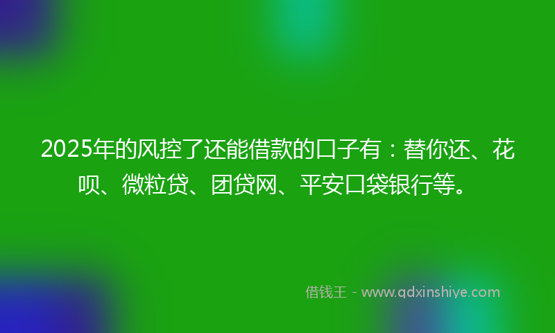 2025年的风控了还能借款的口子有：替你还、花呗、微粒贷、团贷网、平安口袋银行等。
