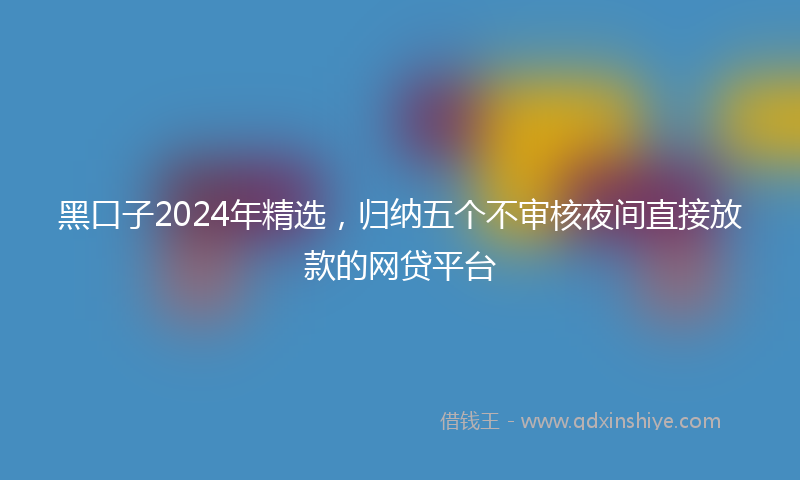 黑口子2024年精选，归纳五个不审核夜间直接放款的网贷平台
