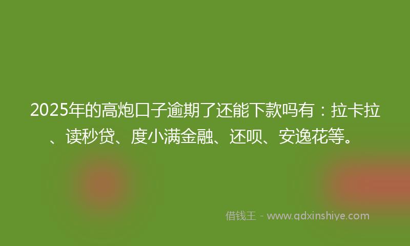 2025年的高炮口子逾期了还能下款吗有：拉卡拉、读秒贷、度小满金融、还呗、安逸花等。