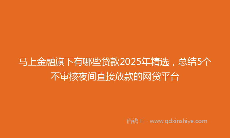 马上金融旗下有哪些贷款2025年精选，总结5个不审核夜间直接放款的网贷平台