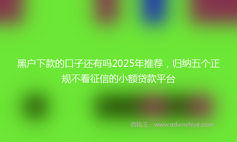 黑户下款的口子还有吗2025年推荐，归纳五个正规不看征信的小额贷款平台
