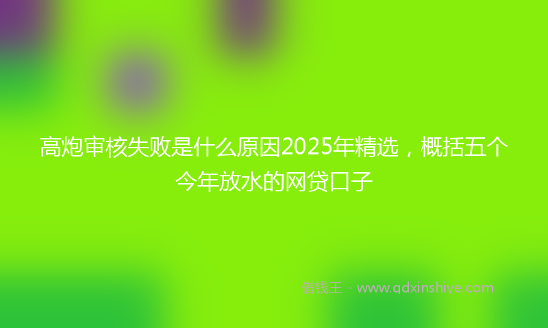 高炮审核失败是什么原因2025年精选，概括五个今年放水的网贷口子