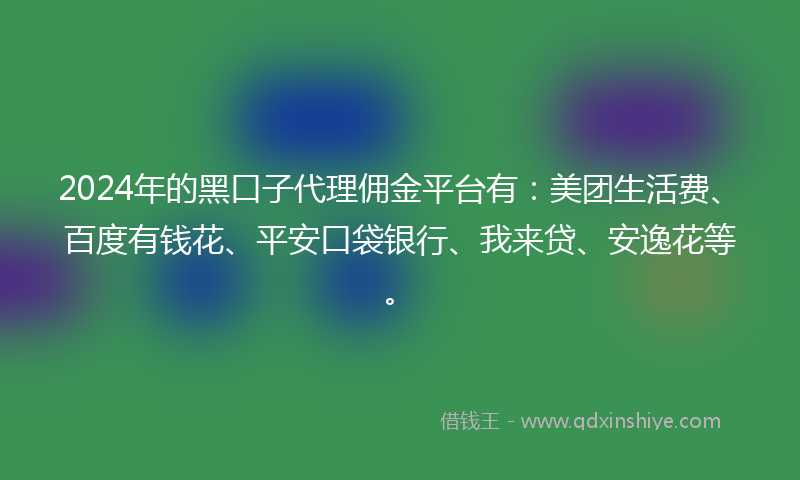 2024年的黑口子代理佣金平台有：美团生活费、百度有钱花、平安口袋银行、我来贷、安逸花等。