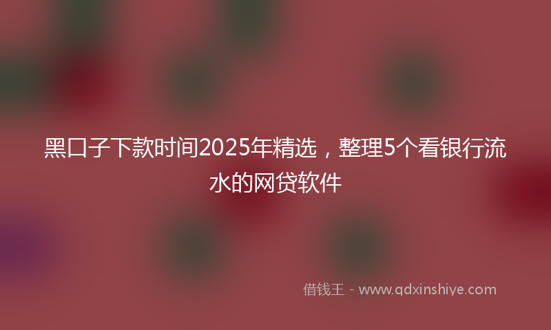 黑口子下款时间2025年精选，整理5个看银行流水的网贷软件