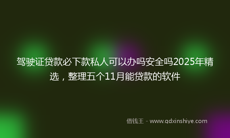 驾驶证贷款必下款私人可以办吗安全吗2025年精选，整理五个11月能贷款的软件