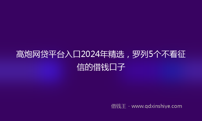 高炮网贷平台入口2024年精选，罗列5个不看征信的借钱口子