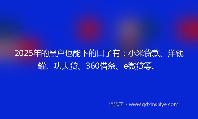 2025年的黑户也能下的口子有：小米贷款、洋钱罐、功夫贷、360借条、e微贷等。