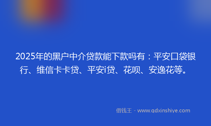 2025年的黑户中介贷款能下款吗有：平安口袋银行、维信卡卡贷、平安i贷、花呗、安逸花等。