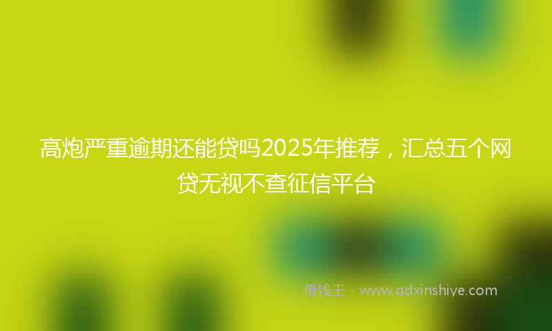 高炮严重逾期还能贷吗2025年推荐，汇总五个网贷无视不查征信平台