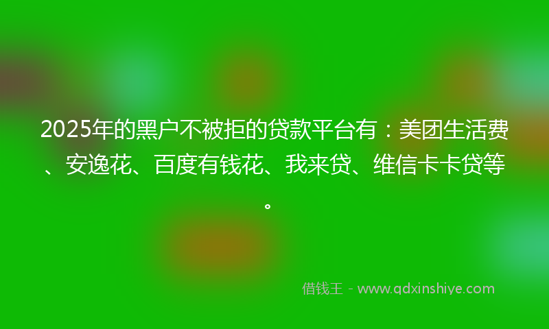 2025年的黑户不被拒的贷款平台有：美团生活费、安逸花、百度有钱花、我来贷、维信卡卡贷等。