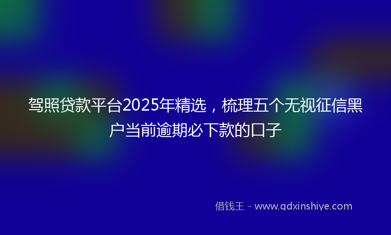 驾照贷款平台2025年精选，梳理五个无视征信黑户当前逾期必下款的口子