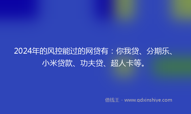 2024年的风控能过的网贷有：你我贷、分期乐、小米贷款、功夫贷、超人卡等。