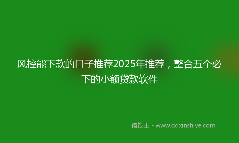 风控能下款的口子推荐2025年推荐，整合五个必下的小额贷款软件