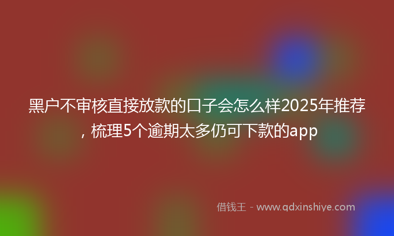 黑户不审核直接放款的口子会怎么样2025年推荐，梳理5个逾期太多仍可下款的app