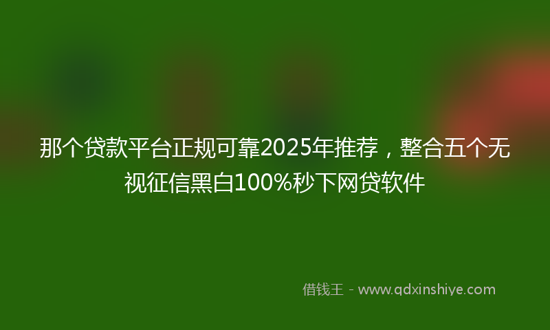 那个贷款平台正规可靠2025年推荐，整合五个无视征信黑白100%秒下网贷软件