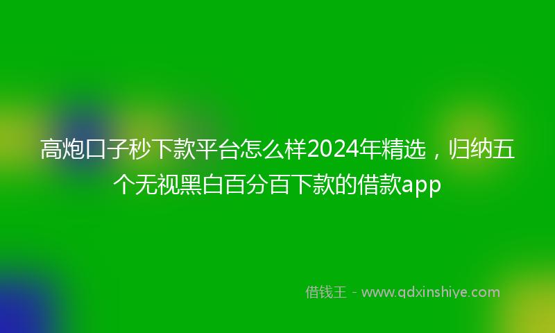 高炮口子秒下款平台怎么样2024年精选，归纳五个无视黑白百分百下款的借款app