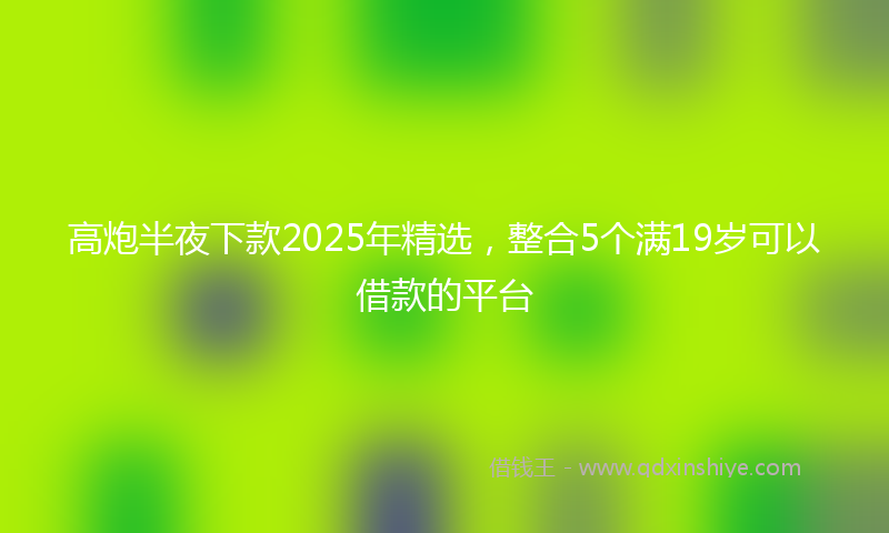 高炮半夜下款2025年精选，整合5个满19岁可以借款的平台