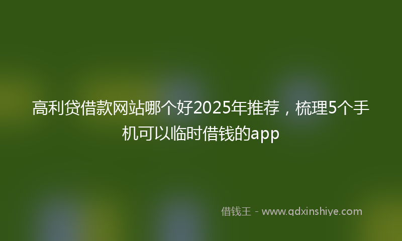 高利贷借款网站哪个好2025年推荐，梳理5个手机可以临时借钱的app