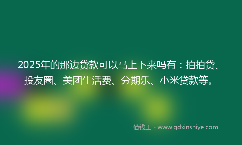 2025年的那边贷款可以马上下来吗有：拍拍贷、投友圈、美团生活费、分期乐、小米贷款等。