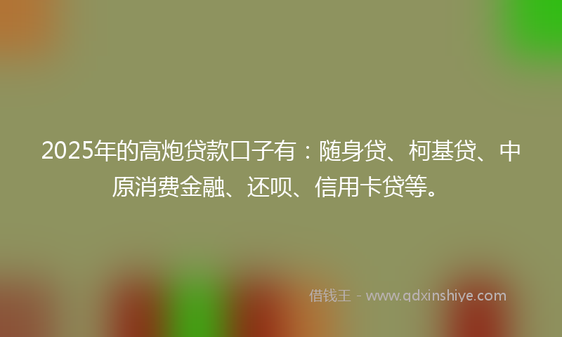 2025年的高炮贷款口子有：随身贷、柯基贷、中原消费金融、还呗、信用卡贷等。