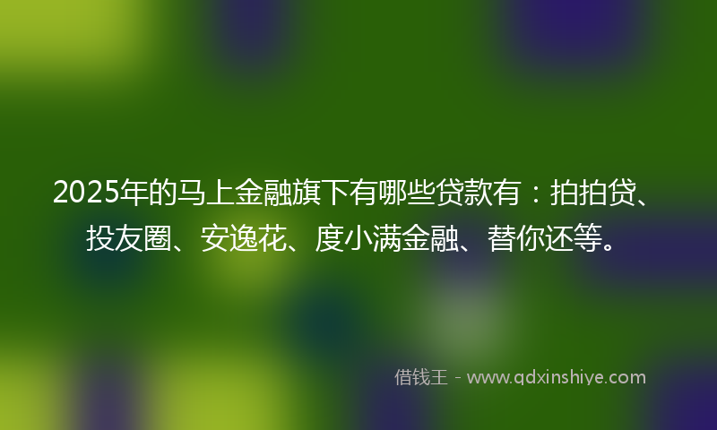 2025年的马上金融旗下有哪些贷款有：拍拍贷、投友圈、安逸花、度小满金融、替你还等。
